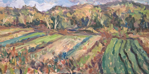 LANDSCPES FROM OBSERVATION